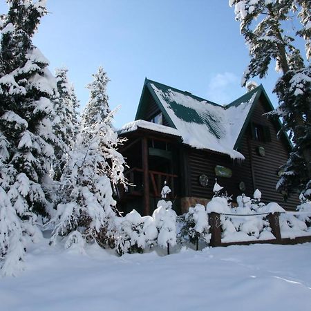 Durmitor Chalet Žabljak Dış mekan fotoğraf